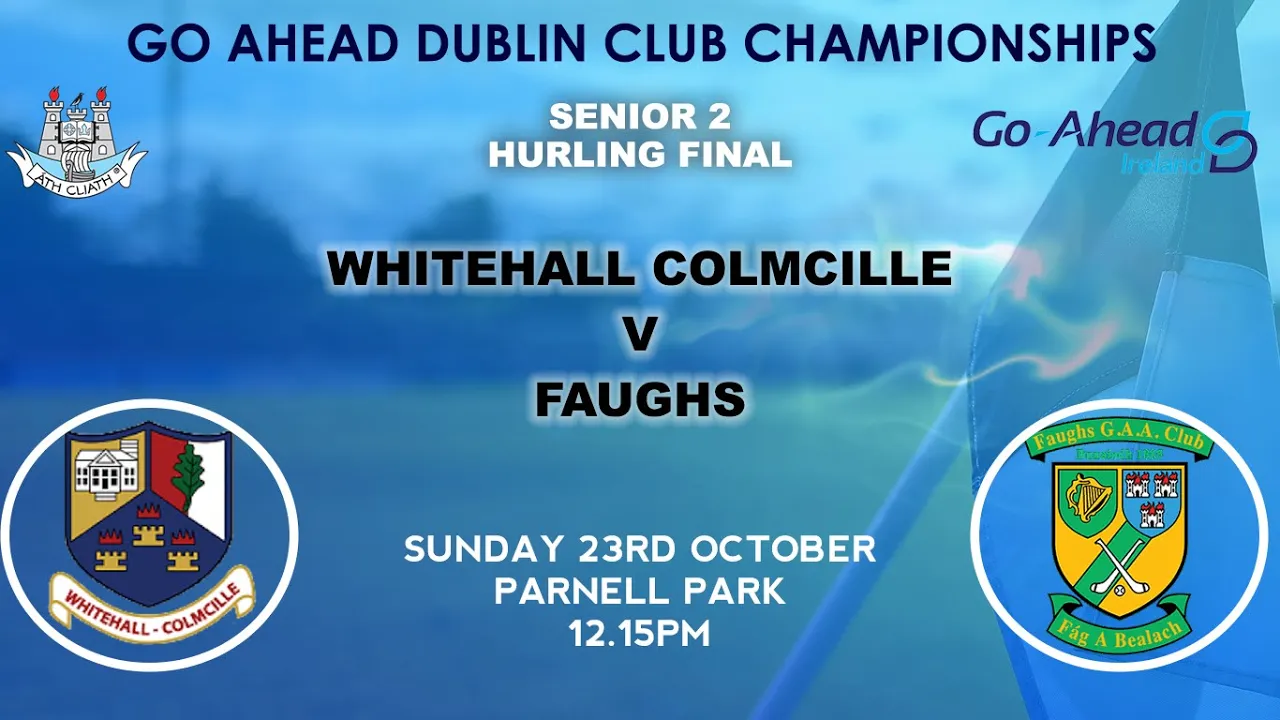 Whitehall Colmcille v Faughs
